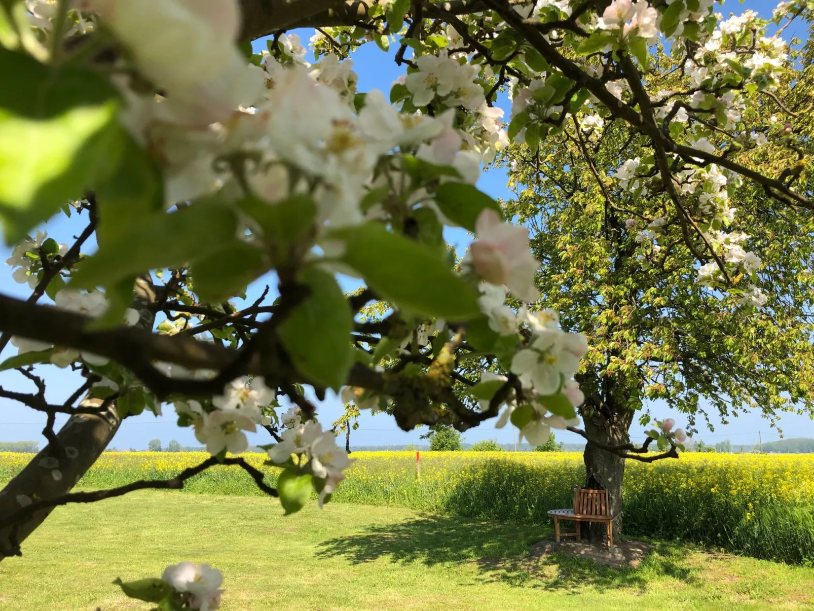 Bauernhaus auf Rügen-Buiten