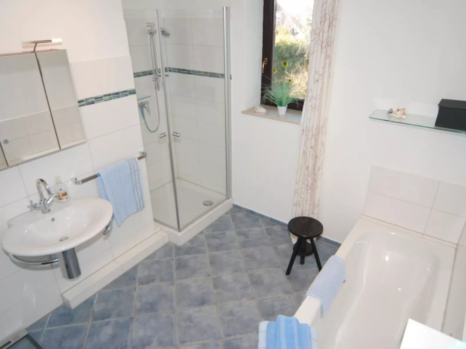 Muschel-Image-tags.info