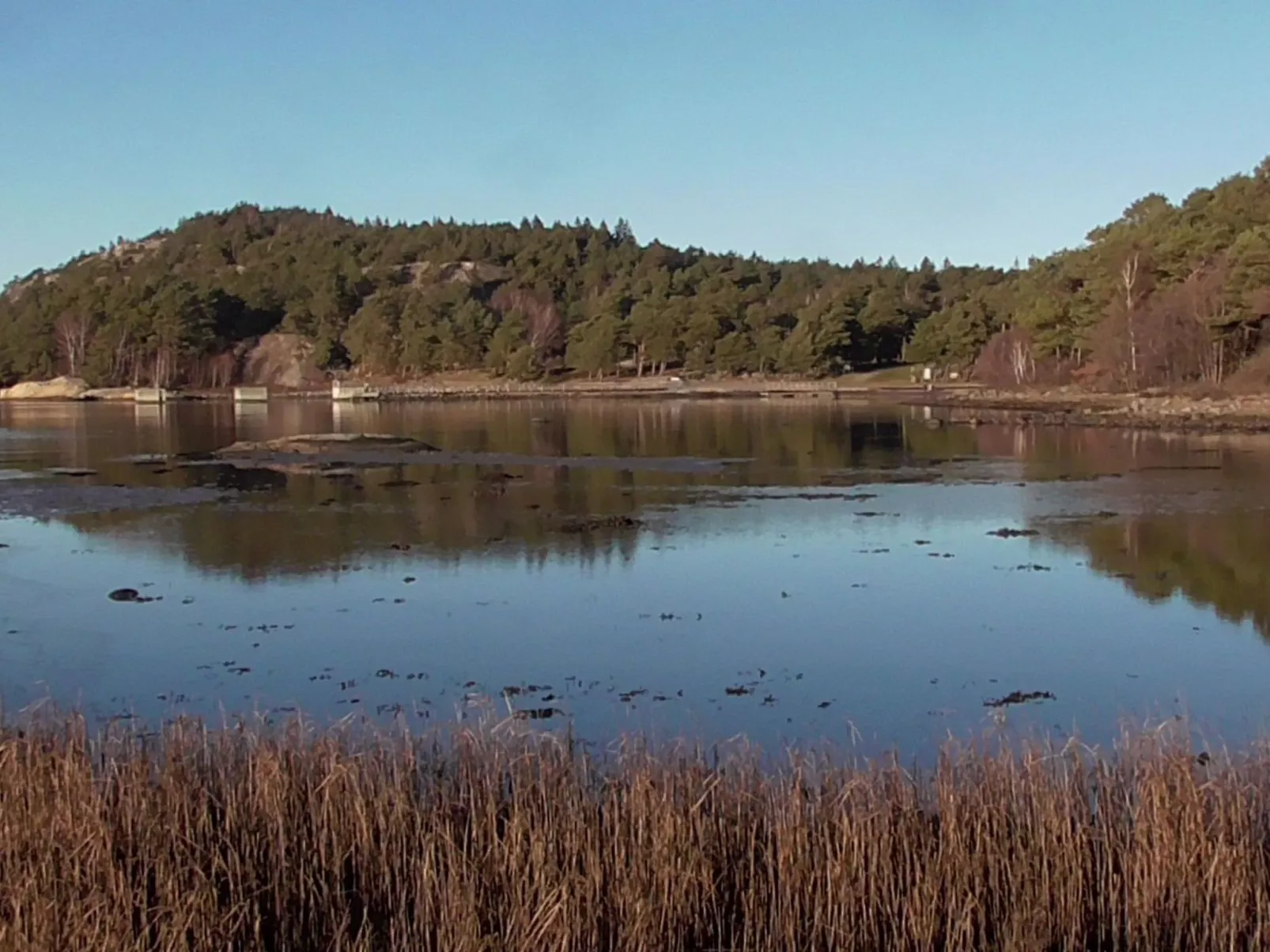 Wunderschönes Cottage "Traum von Wald und Meer"-Buiten