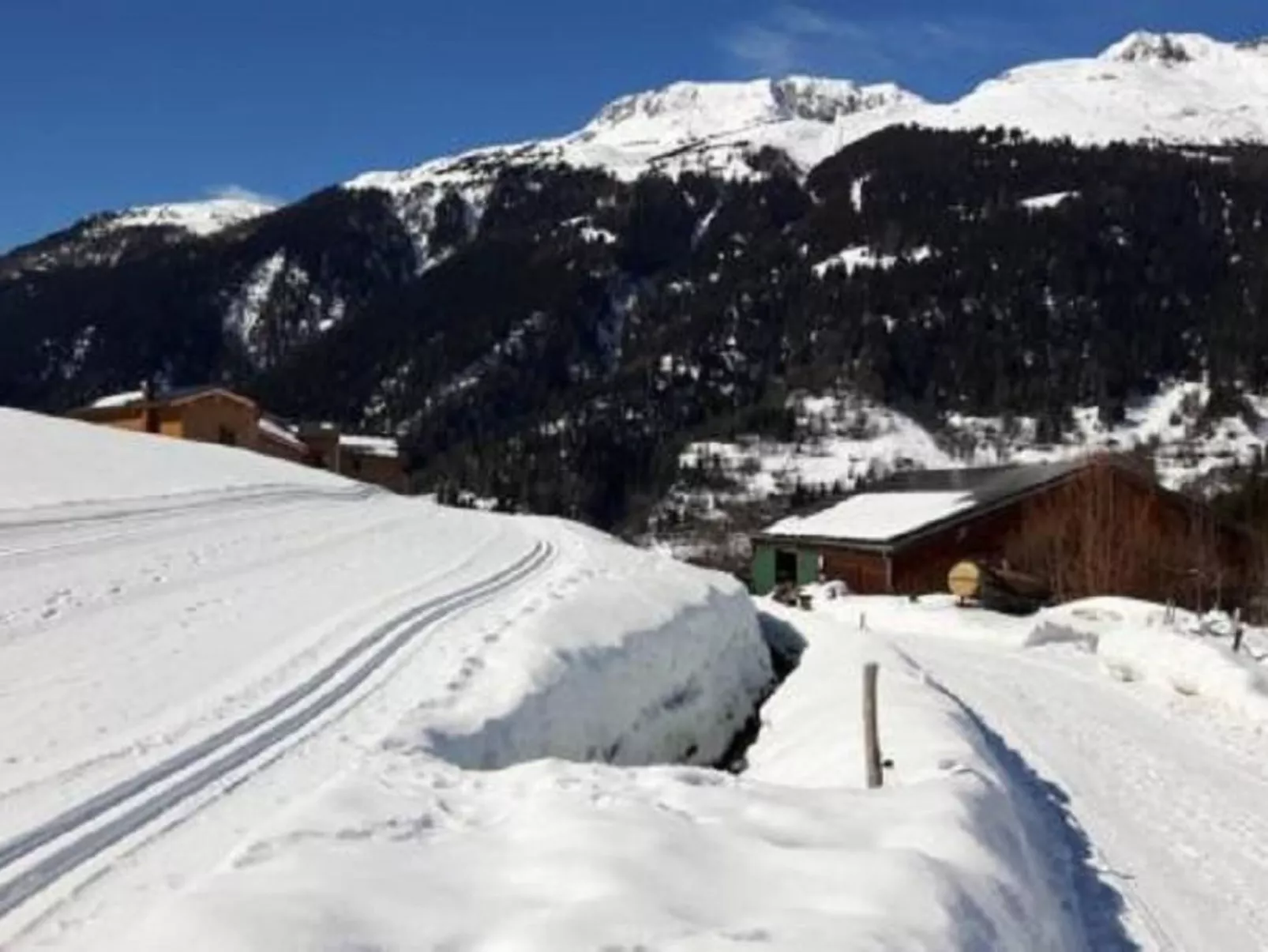 Ritz-Image-tags.info