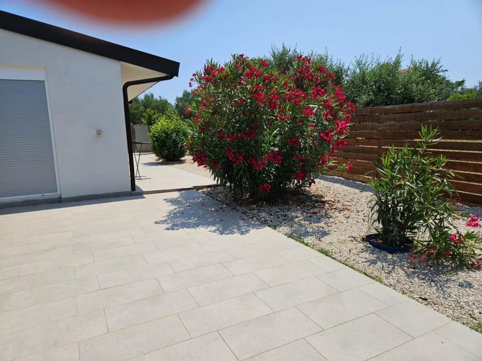 Medulinka-Image-tags.info