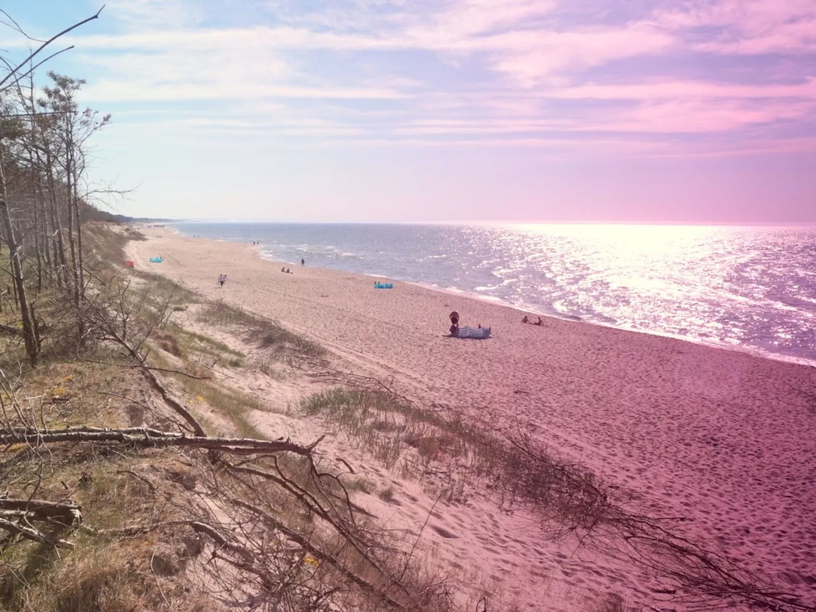 "Paradise Star Bobolin"-Buiten