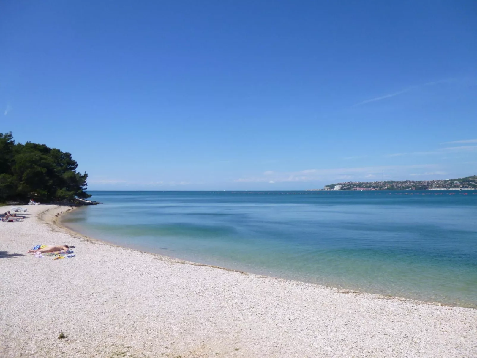 ALBINA STUDIO 5-Image-tags.info