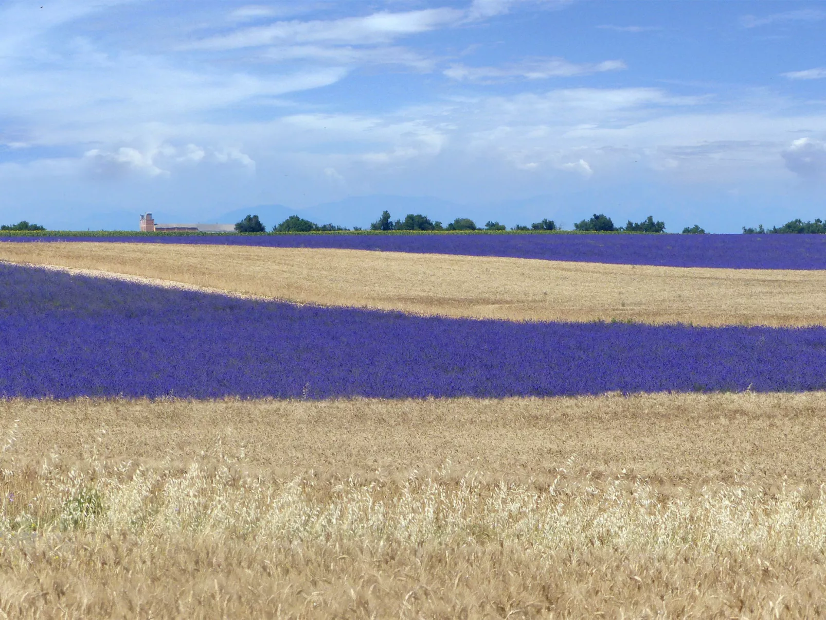 "Limounie" mit Terrasse-Omgeving