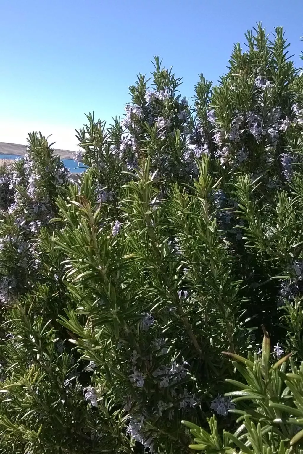 Mit Blick auf das Wasser-Buiten
