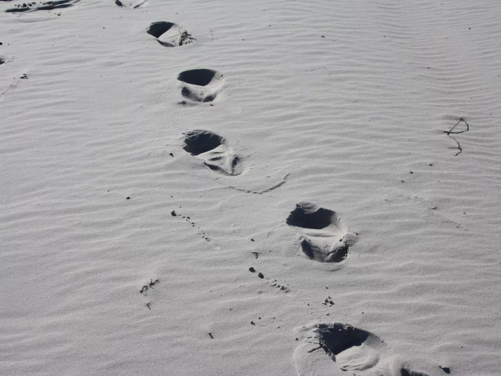 Villa Concordia-Image-tags.info