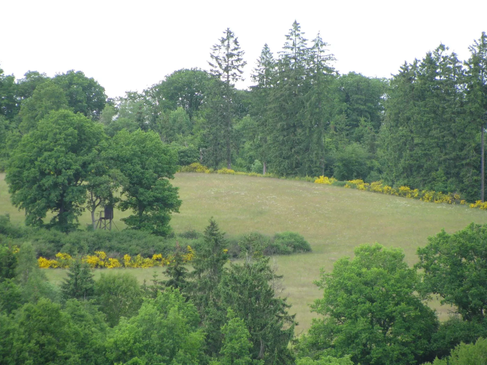 Casa Marlies in Daun-Buiten