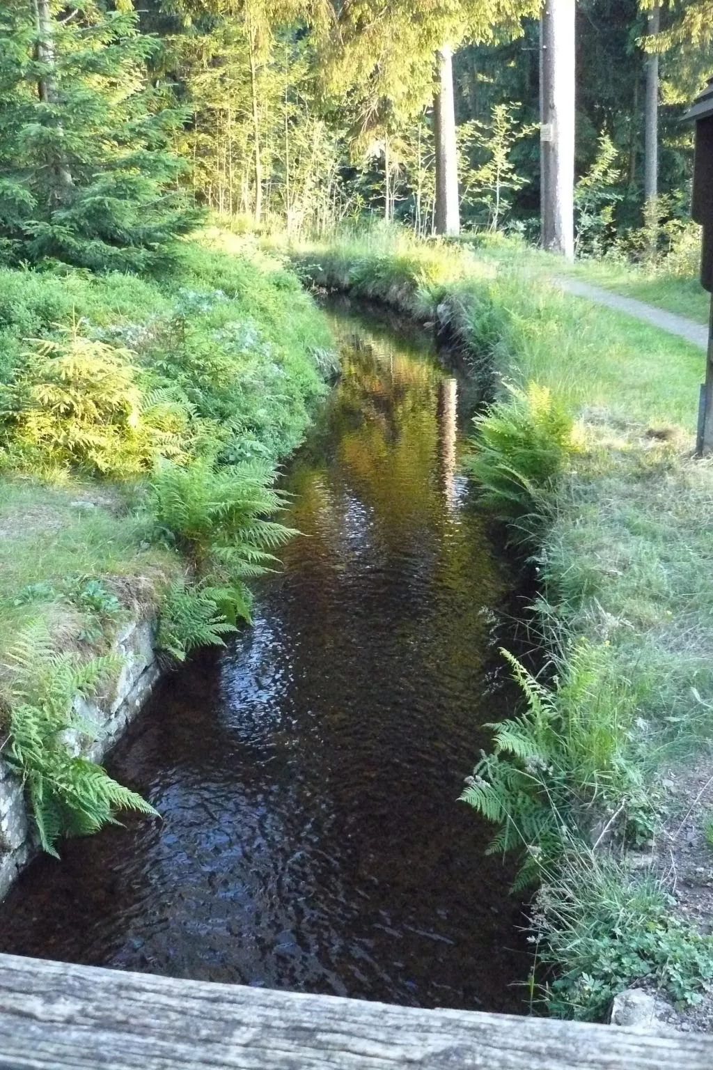 Vier Jahreszeiten 6-Buiten