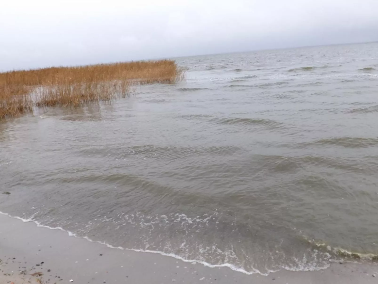 "Saaler Bodden"-Buiten