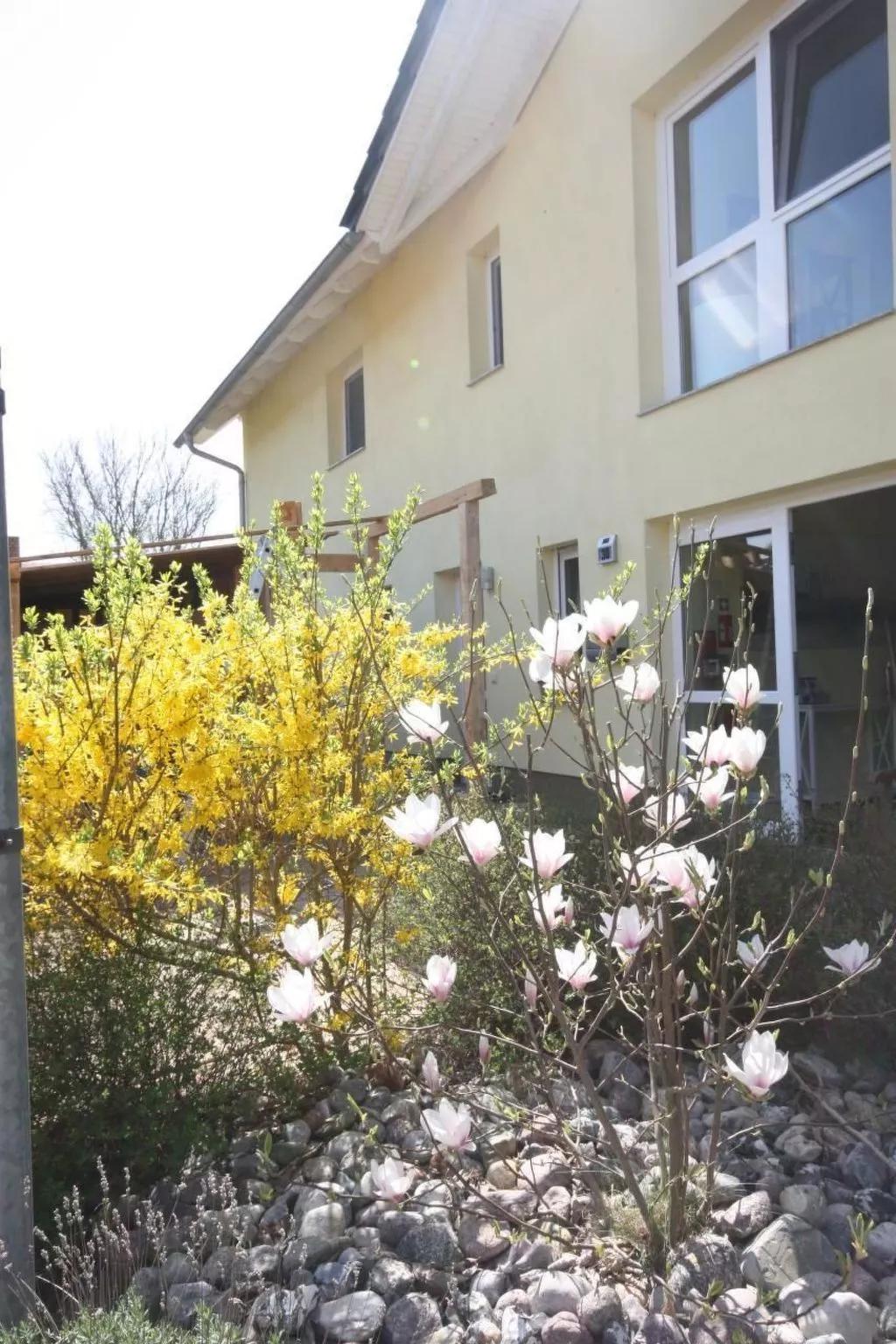 Wohnung in Koserow mit Garten und Grill und Neben dem Strand-Buiten