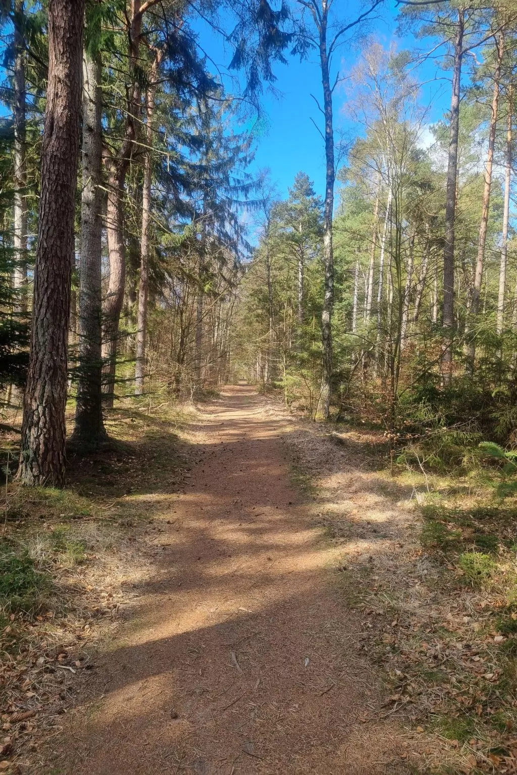 Gemütliche Ferienwohnung für zwei Personen mit sonniger Südterrasse-Buiten