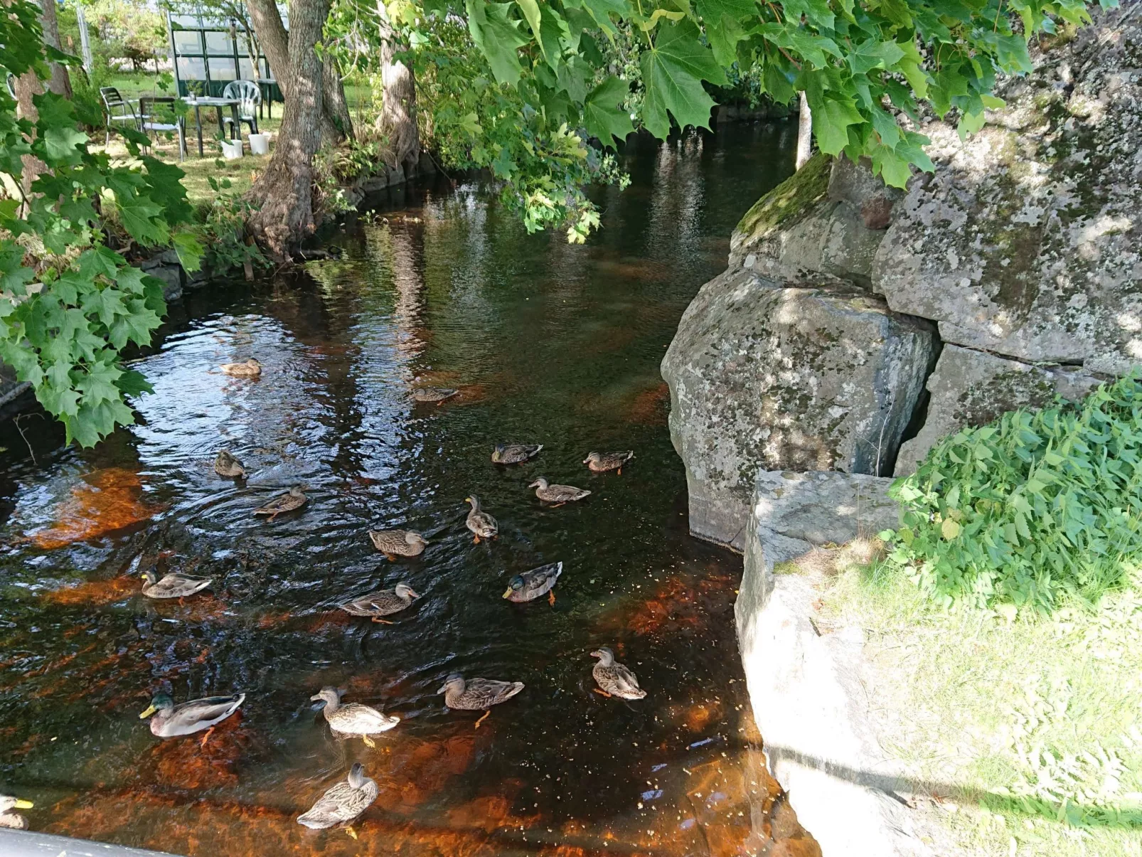 Familienfreundliches Ferienhaus mit großem Garten-Buiten