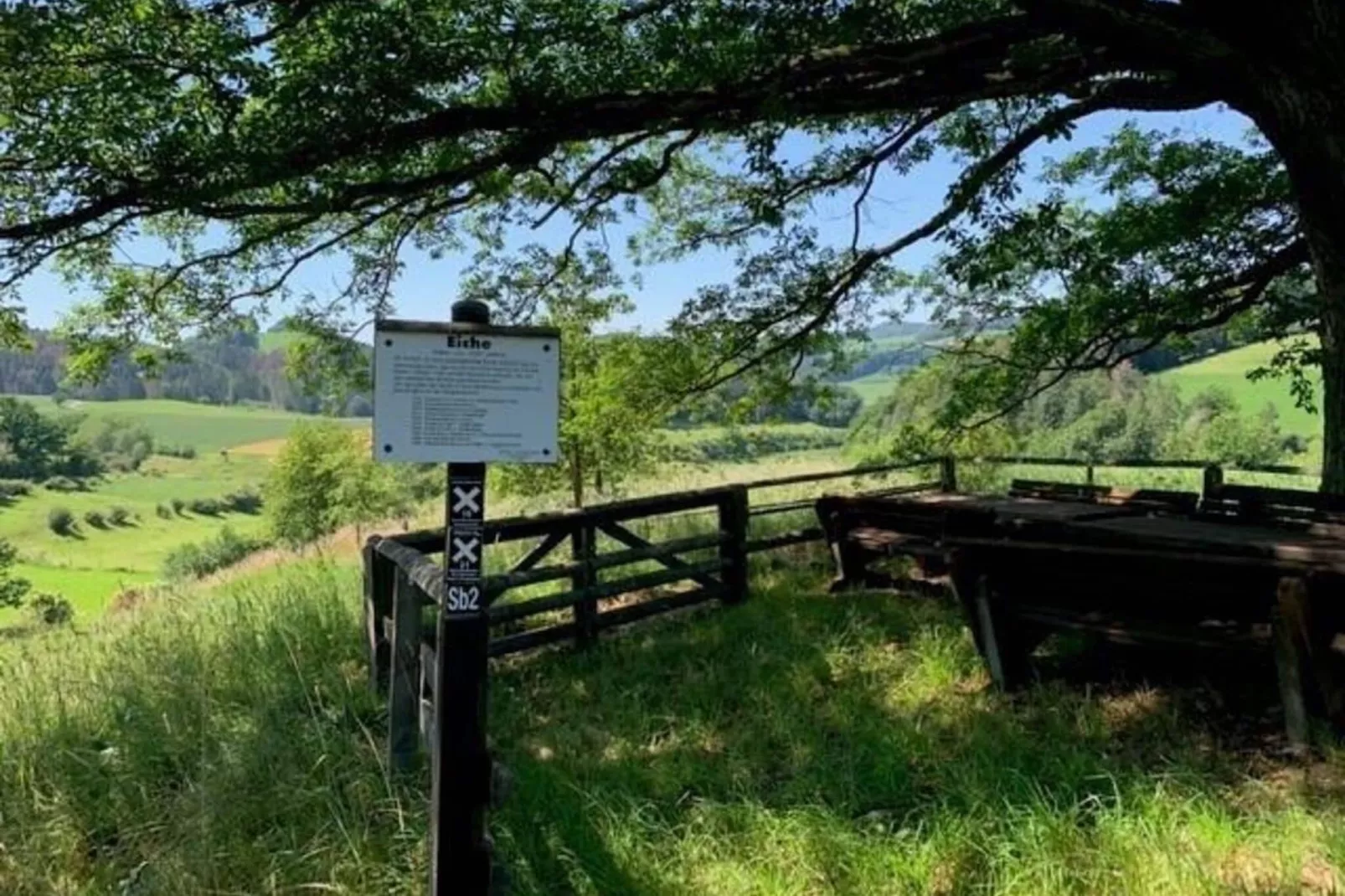 Holzhaus Willingen-Gebieden zomer 20km