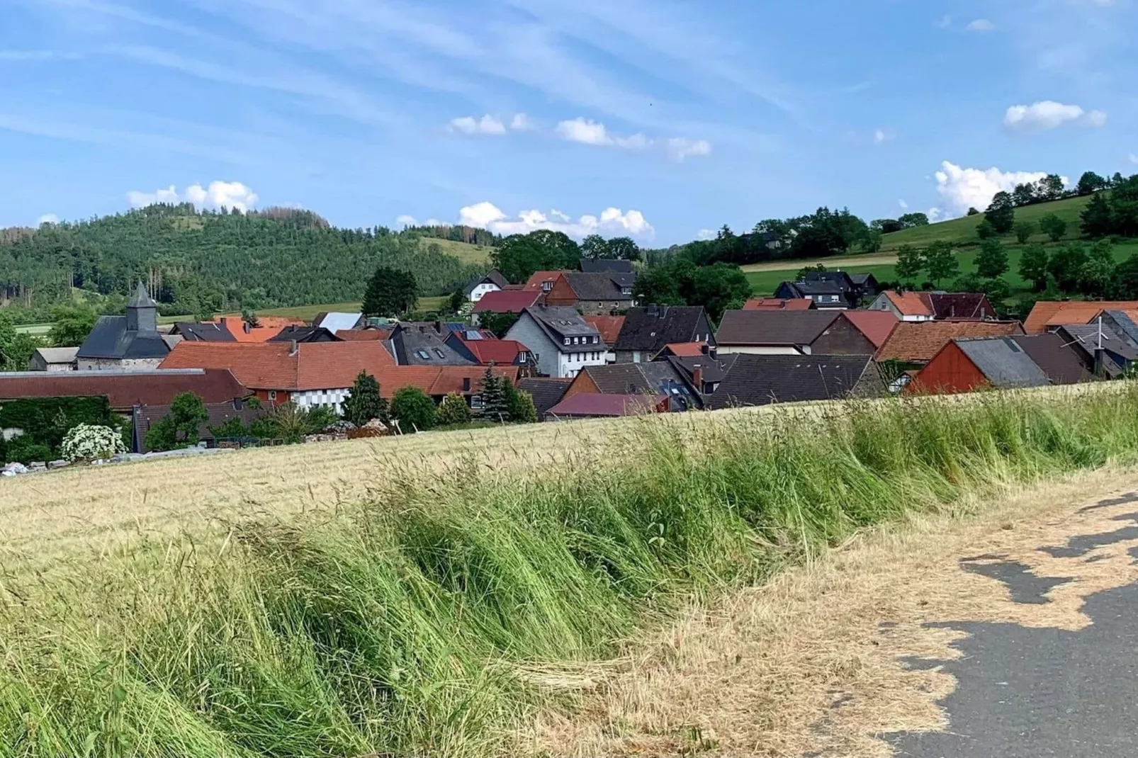 Holzhaus Willingen-Gebieden zomer 1km