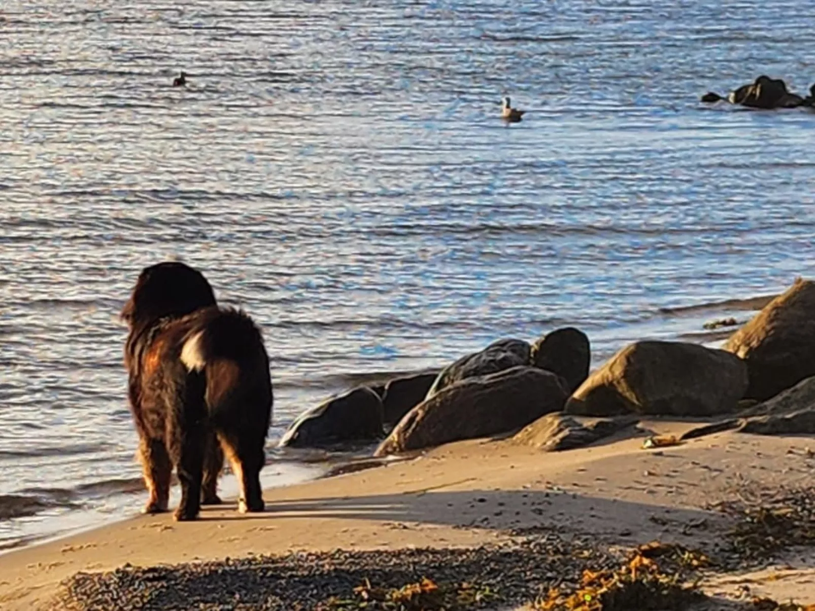 Strandvilla am Meer-Buiten