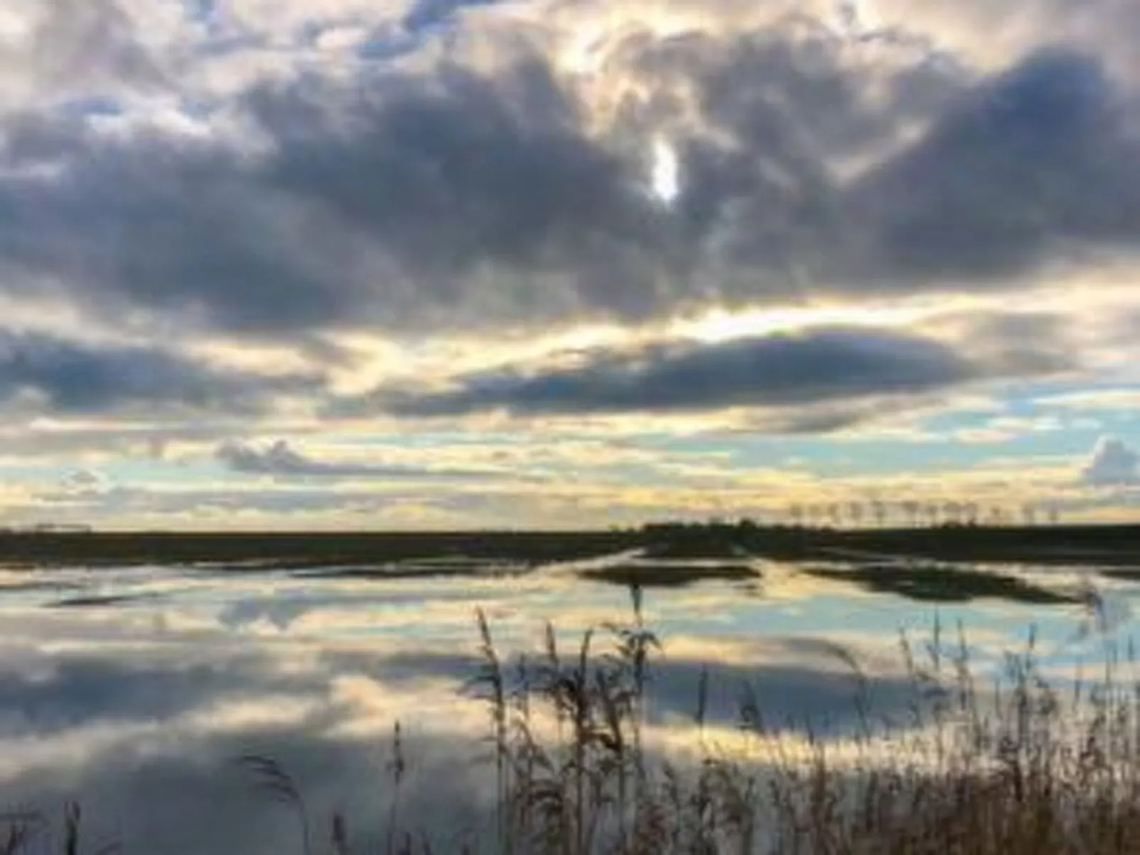 Haus Sonnenschein mit Blick auf das Lauwersmeer-Buiten