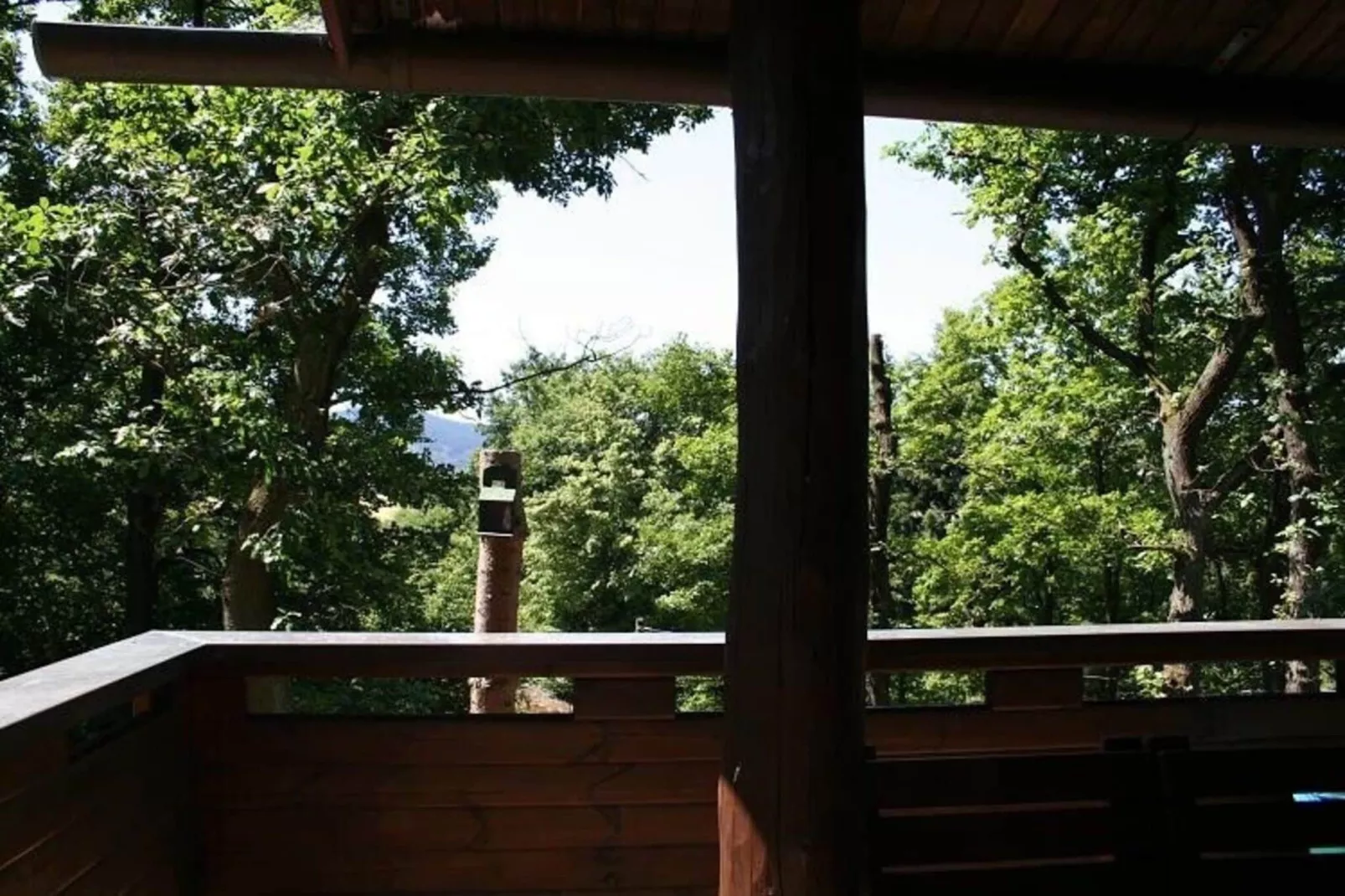 Blockhaus Heringhausen-Diemelsee-Uitzicht zomer