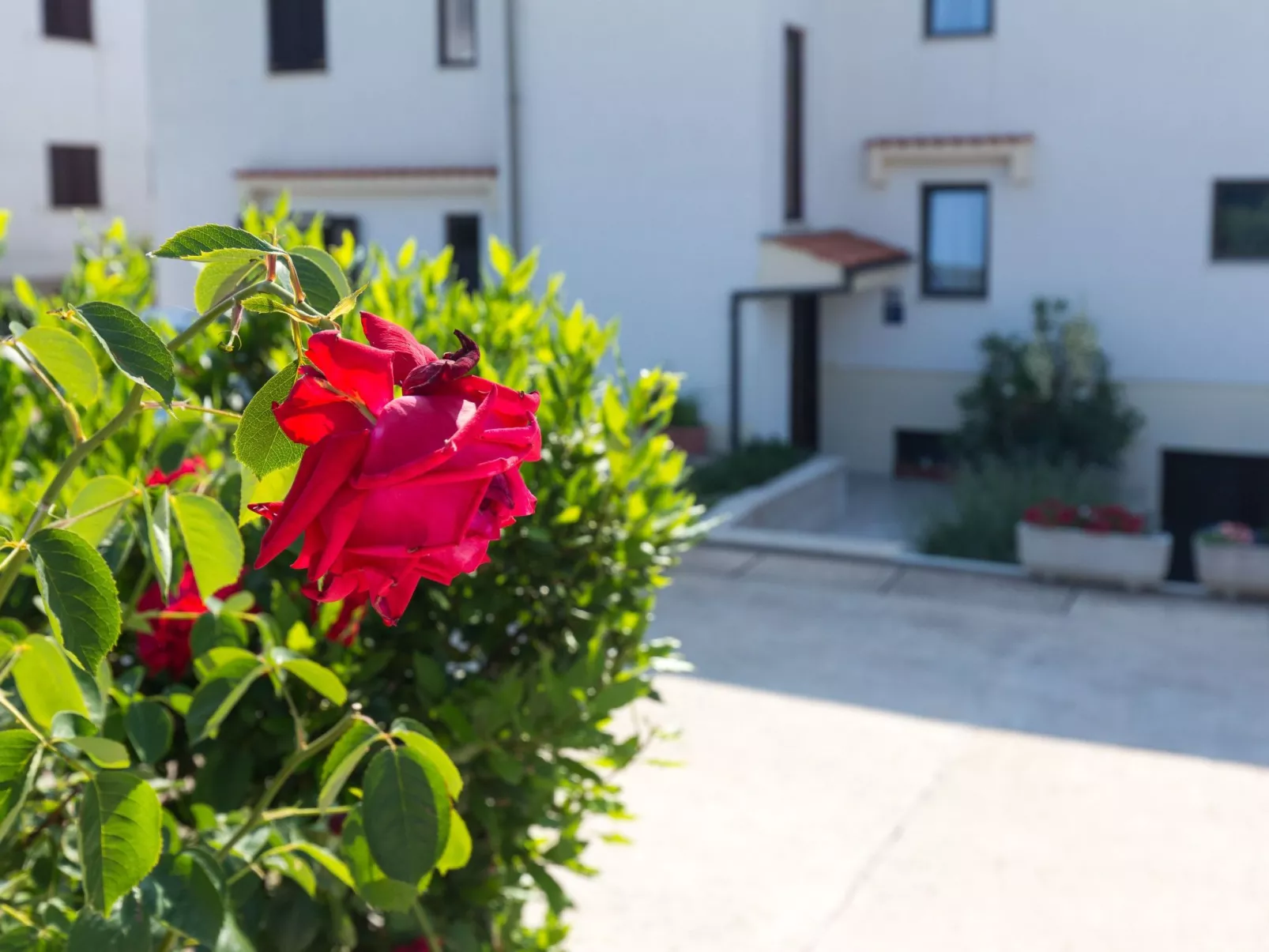 Apartment mit 1 Schlafzimmer und Balkon für 2 Personen-Buiten