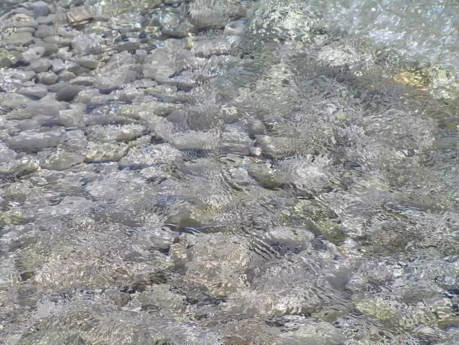 Wohnung mit Balkon und Meerblick-Buiten