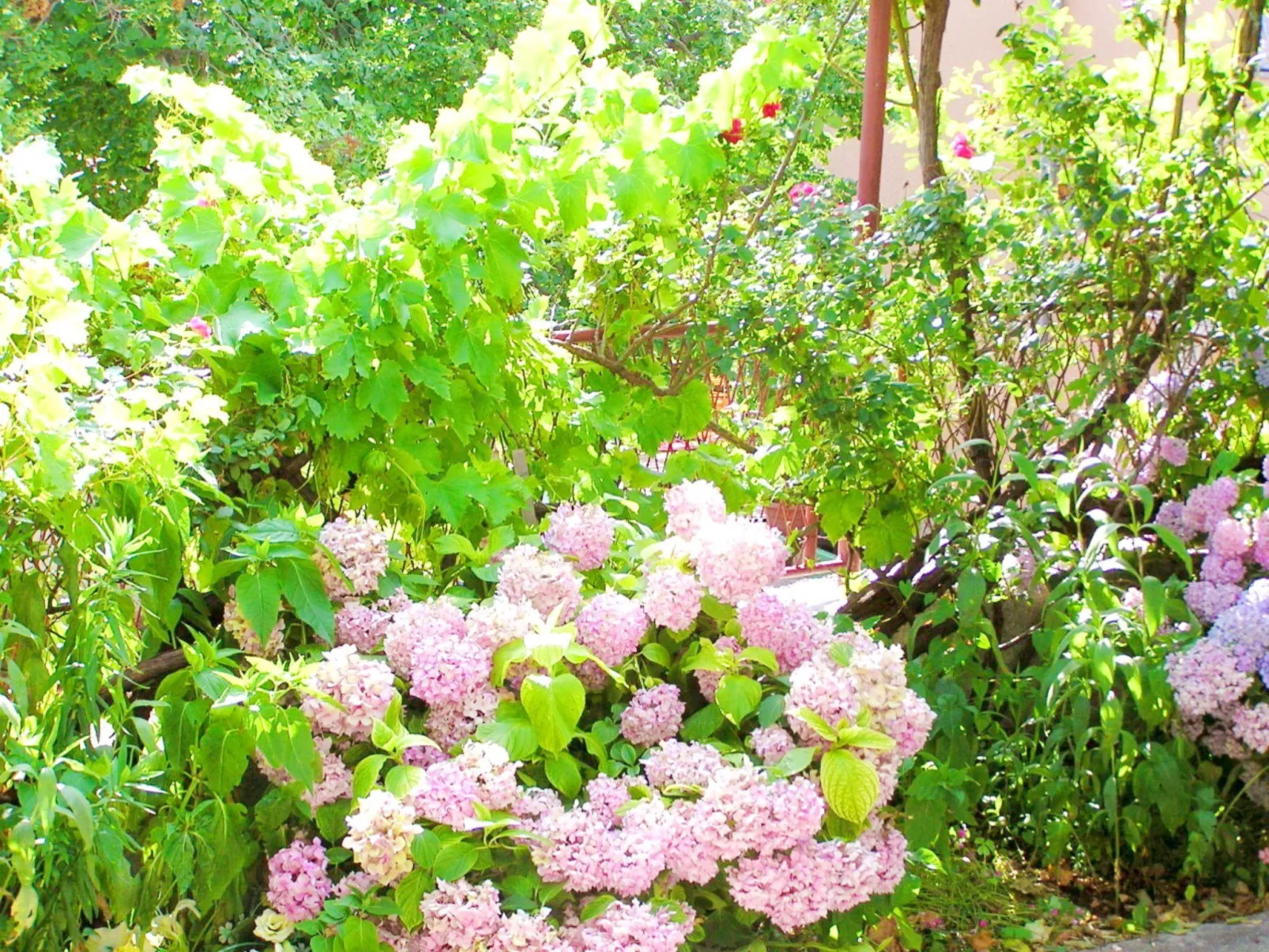 Holiday House Jure-Buiten