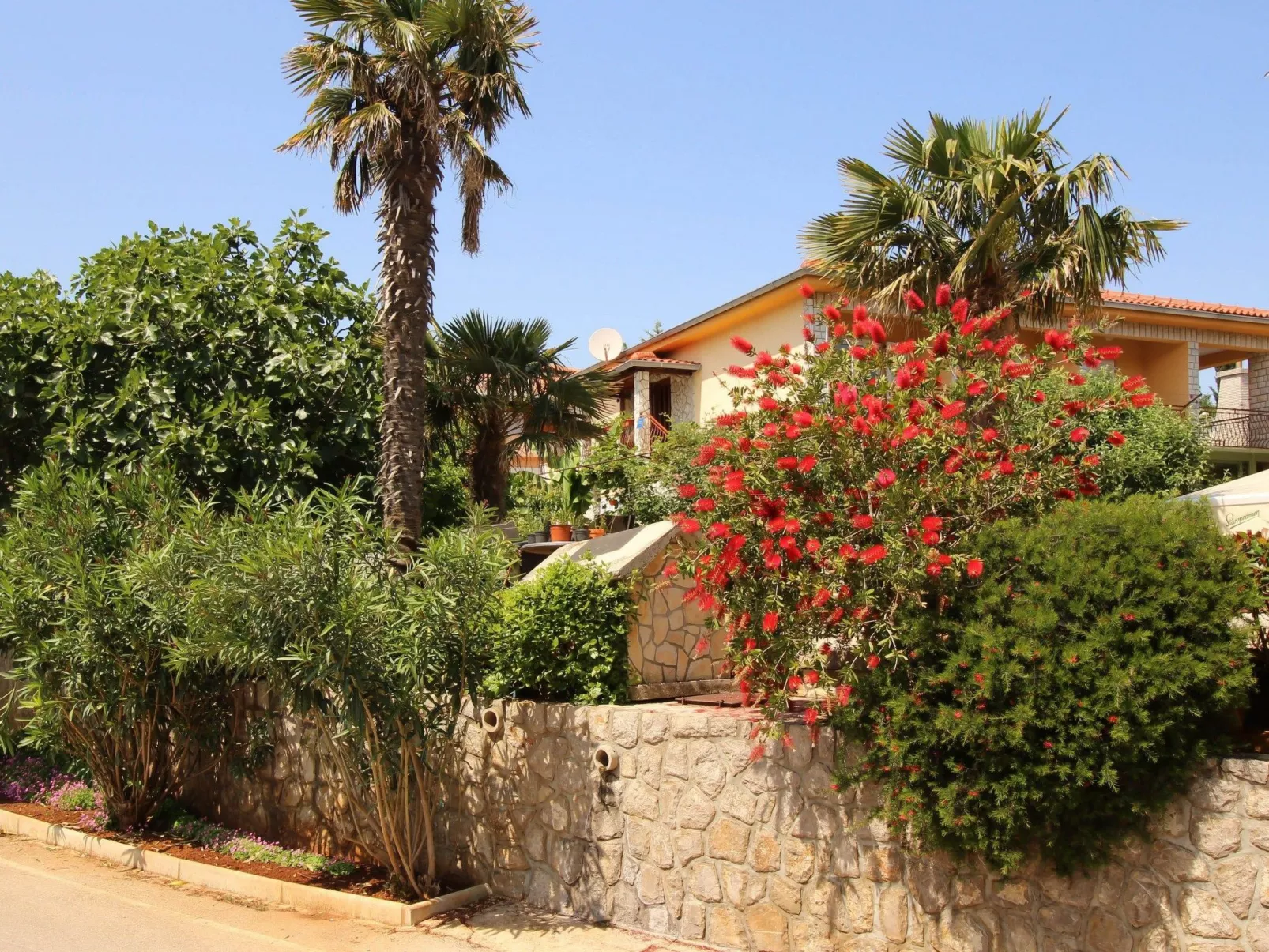 Apartment Nevenka-Image-tags.info