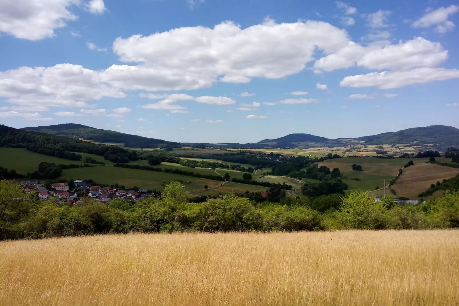 Hohe Rhön-Gebieden zomer 1km