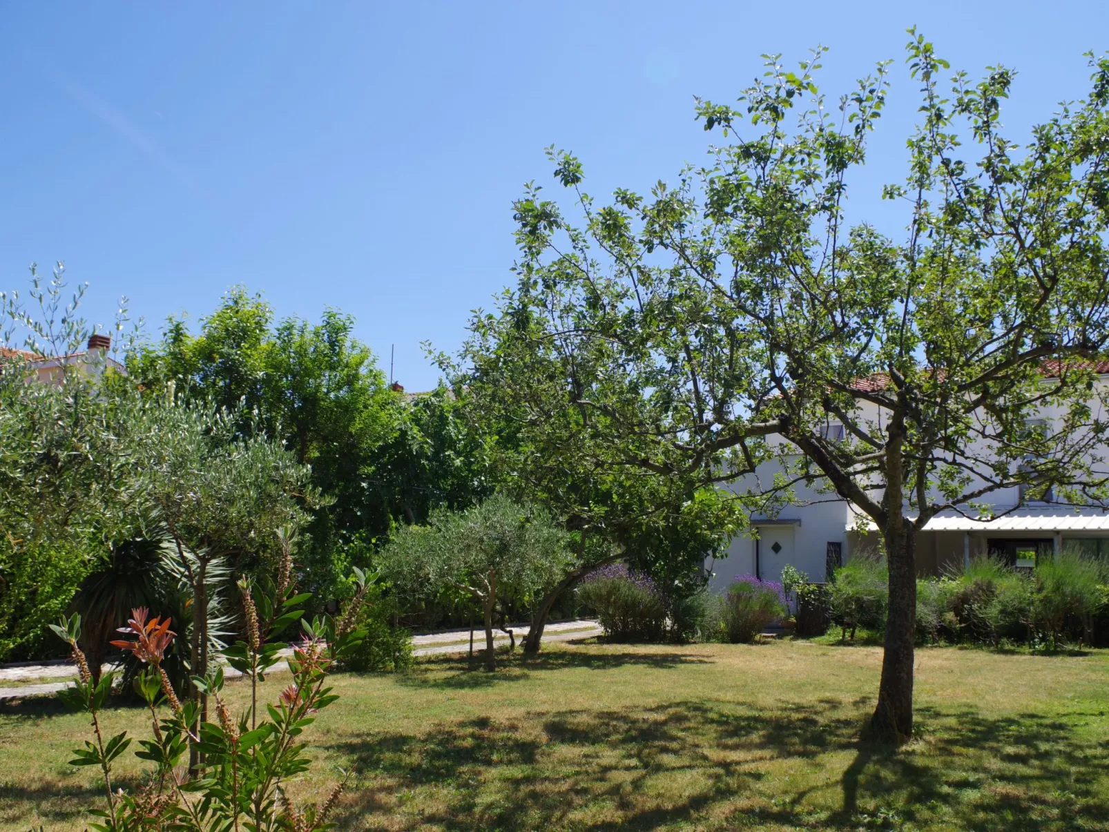 In Premantura-Image-tags.info