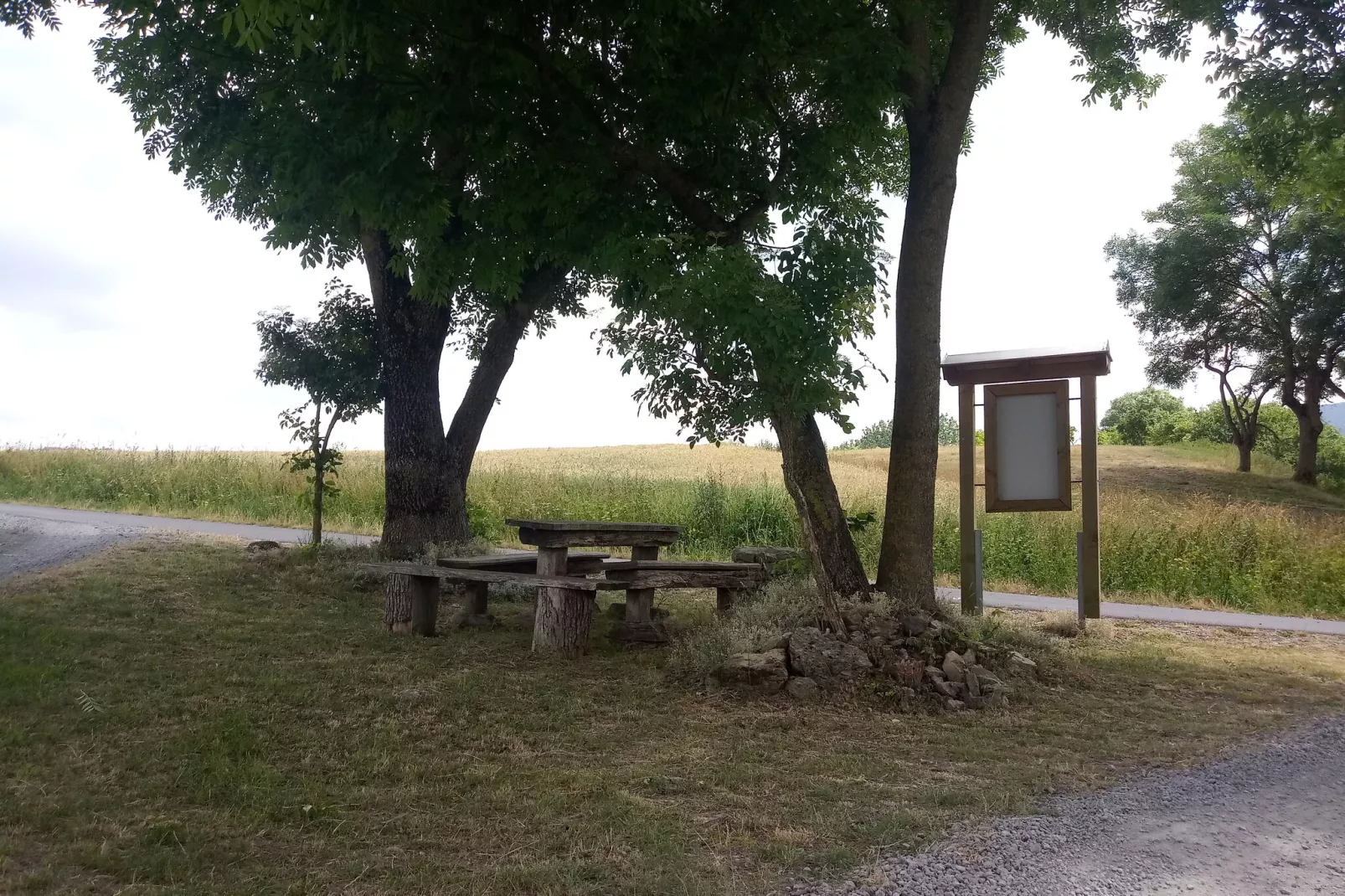 Hohe Rhön-Gebieden zomer 20km