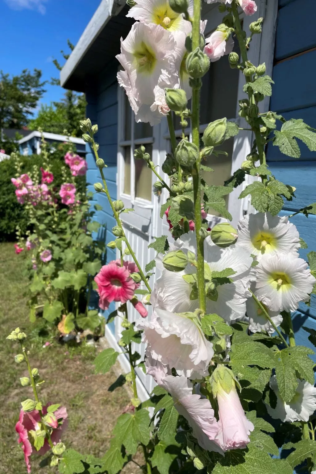Haus am Meer 3-Buiten