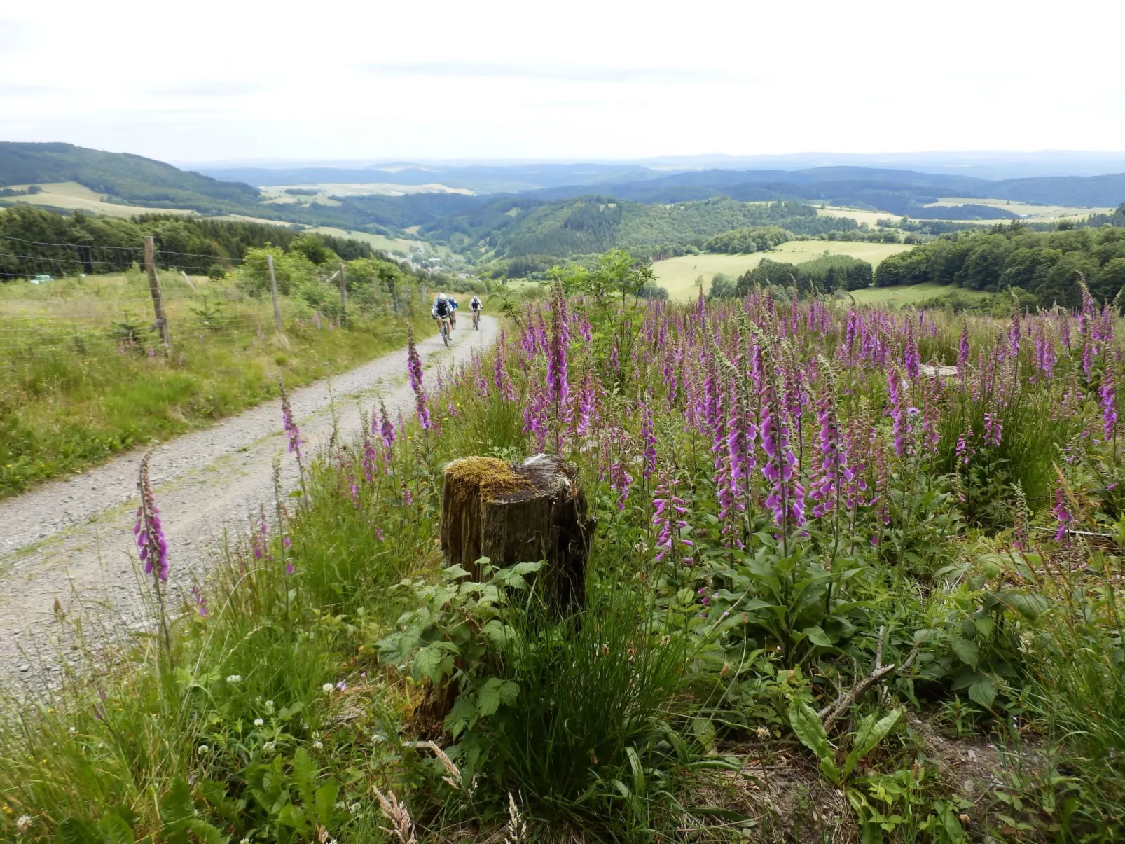 Mit privatem Balkon-Buiten