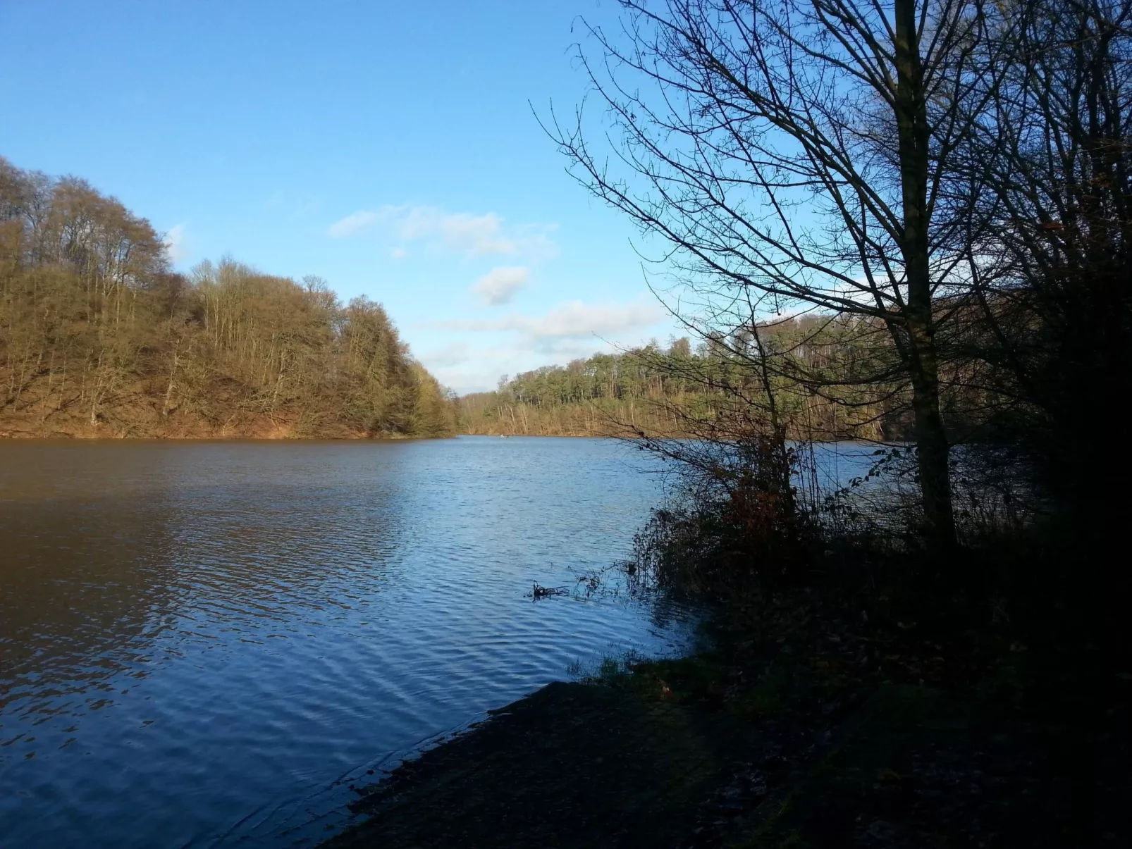 Wunderschönes Ferienhaus am Waldrand-Image-tags.info