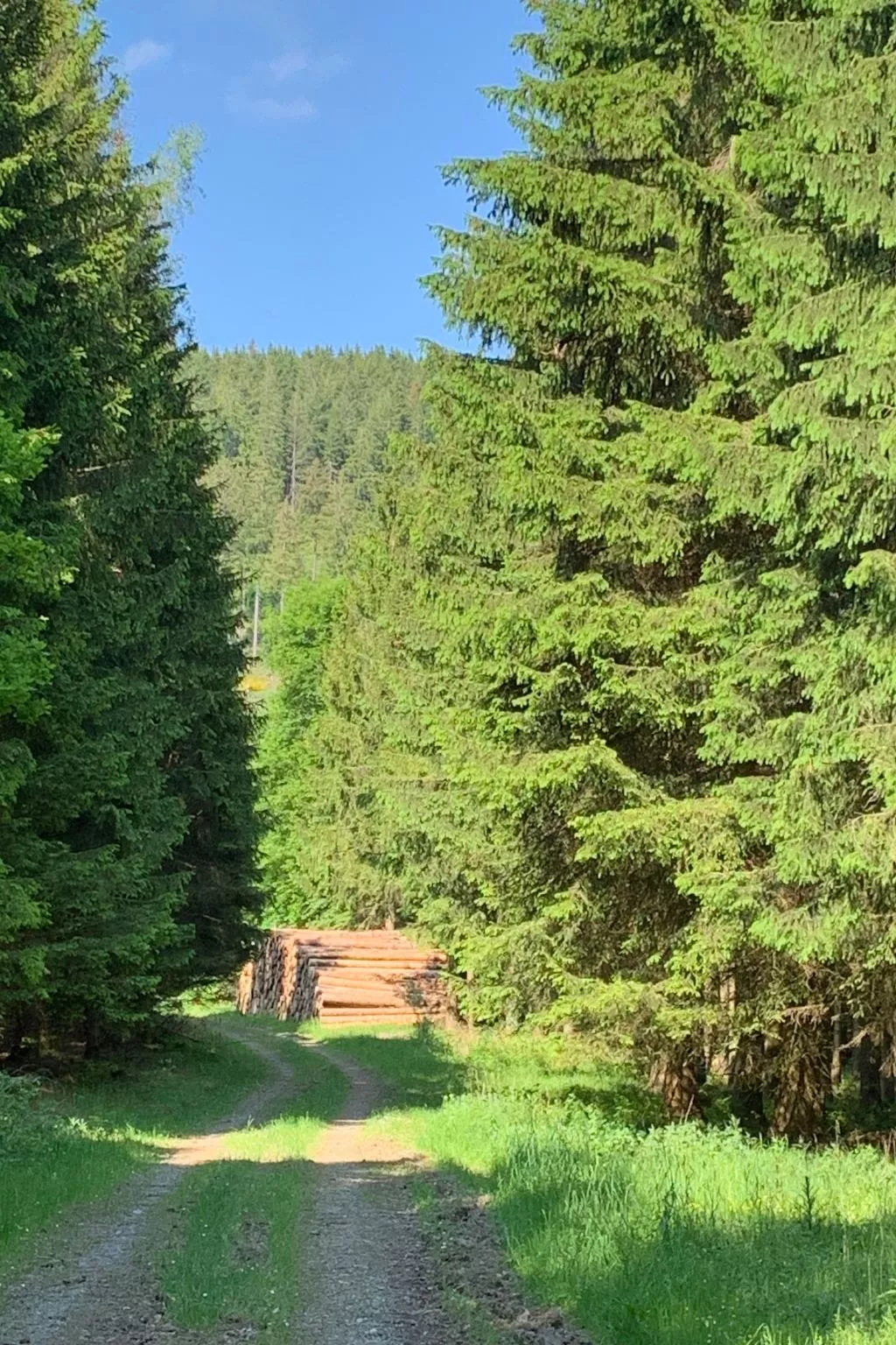 Mit eigener Terrasse-Buiten