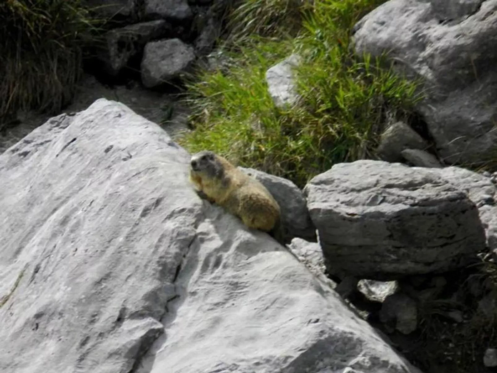 Gemütliche Ferienwohnung in Engelberg-Buiten