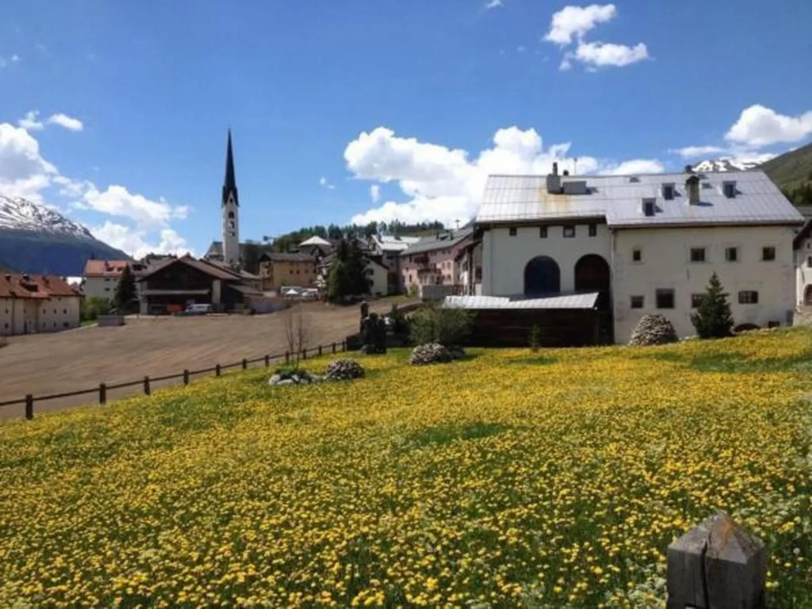 Chesa Schech-Image-tags.info