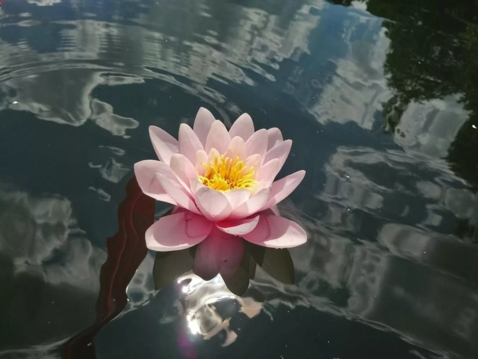 Waldhaus57 Silbersee-Buiten