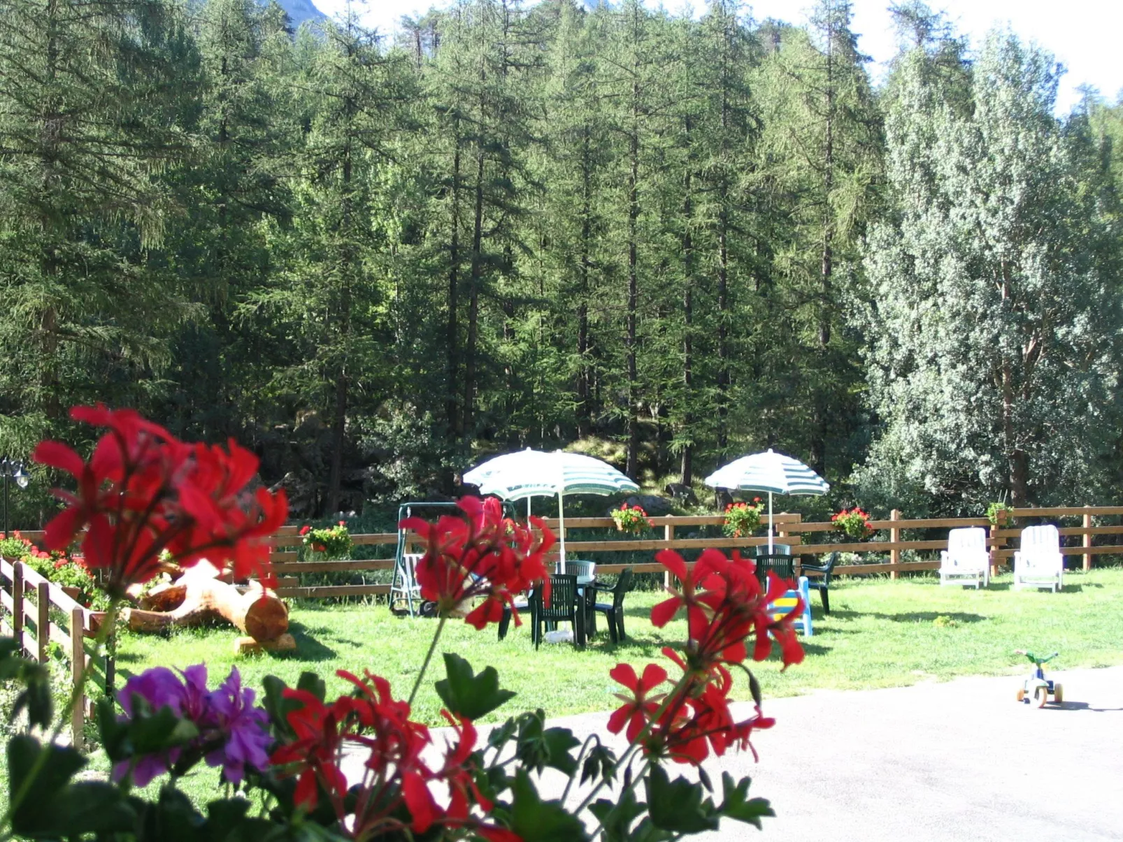 Helle, panoramische Wohnung in den Alpen.-Buiten