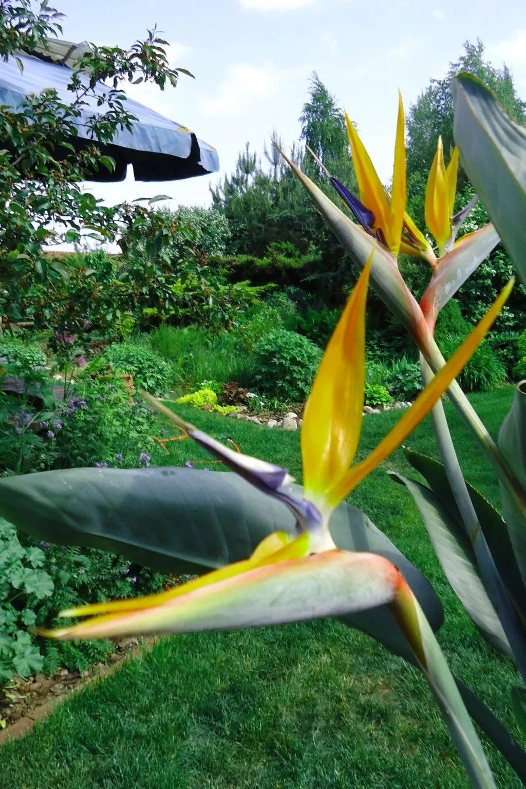 In ruhiger Lage am Waldrand-Buiten