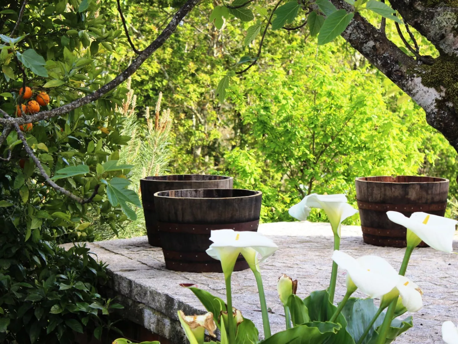 Renoviertes Landhaus für 4 Personen in Tondela-Buiten