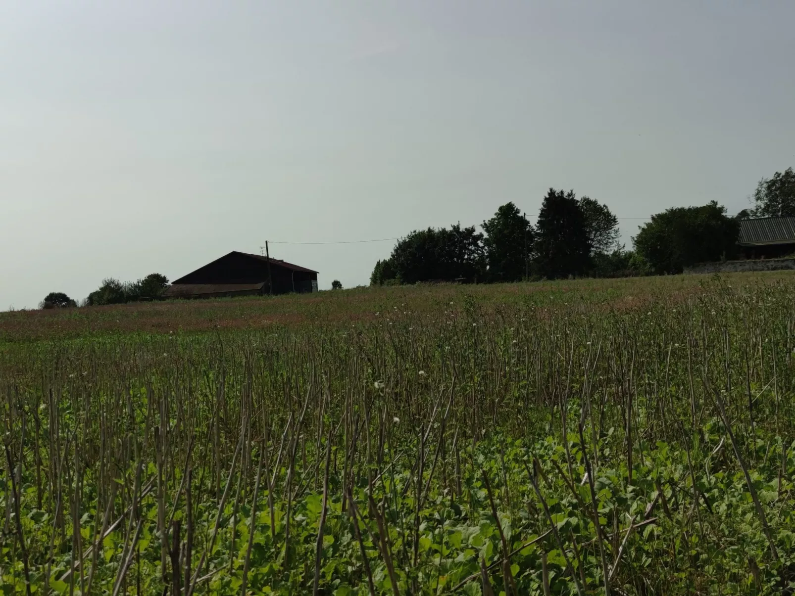 Gesellige Momente in der Nähe von Disneyland Paris-Buiten