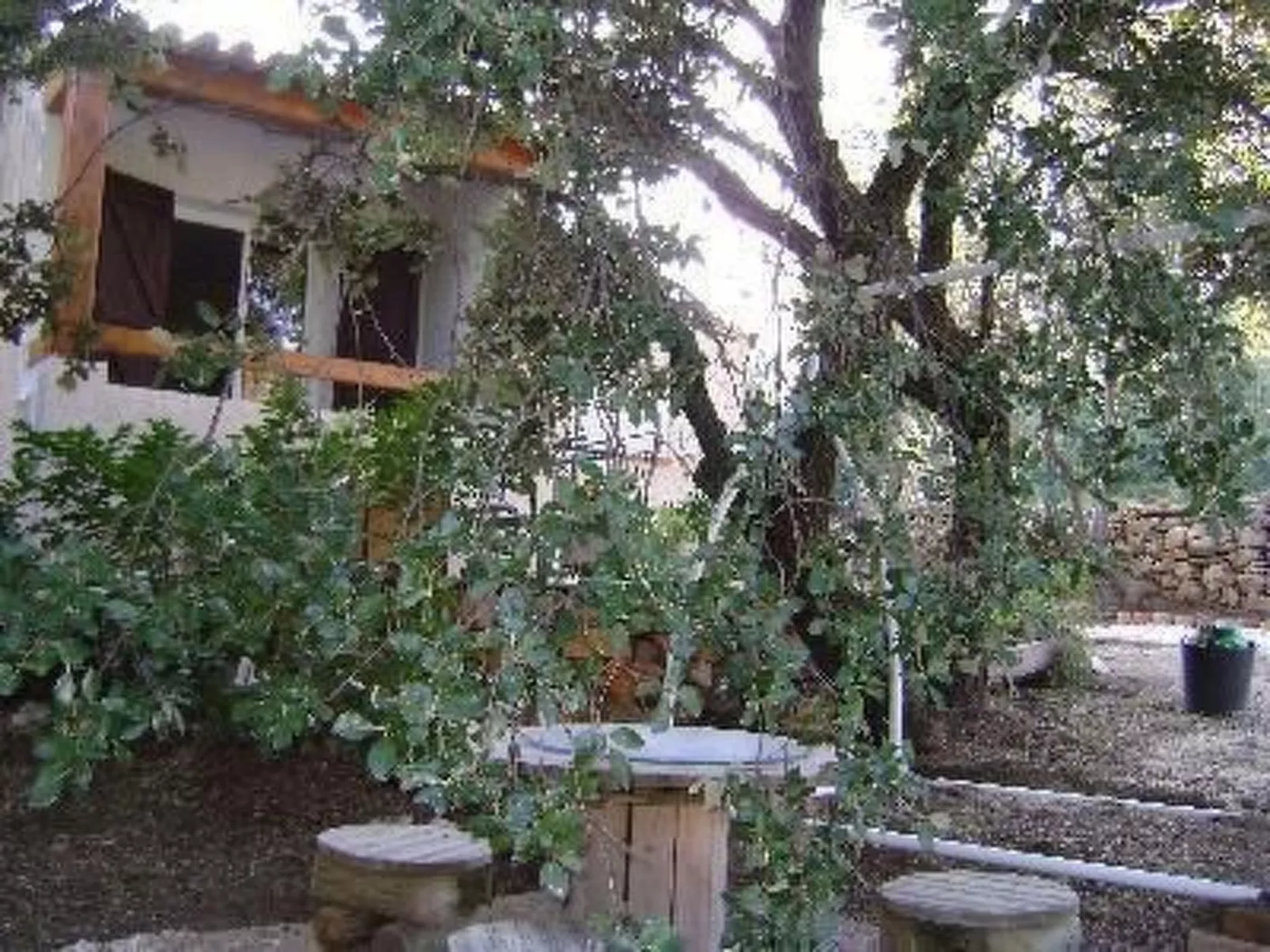 Mit Terrasse, mitten in der Natur-Buiten