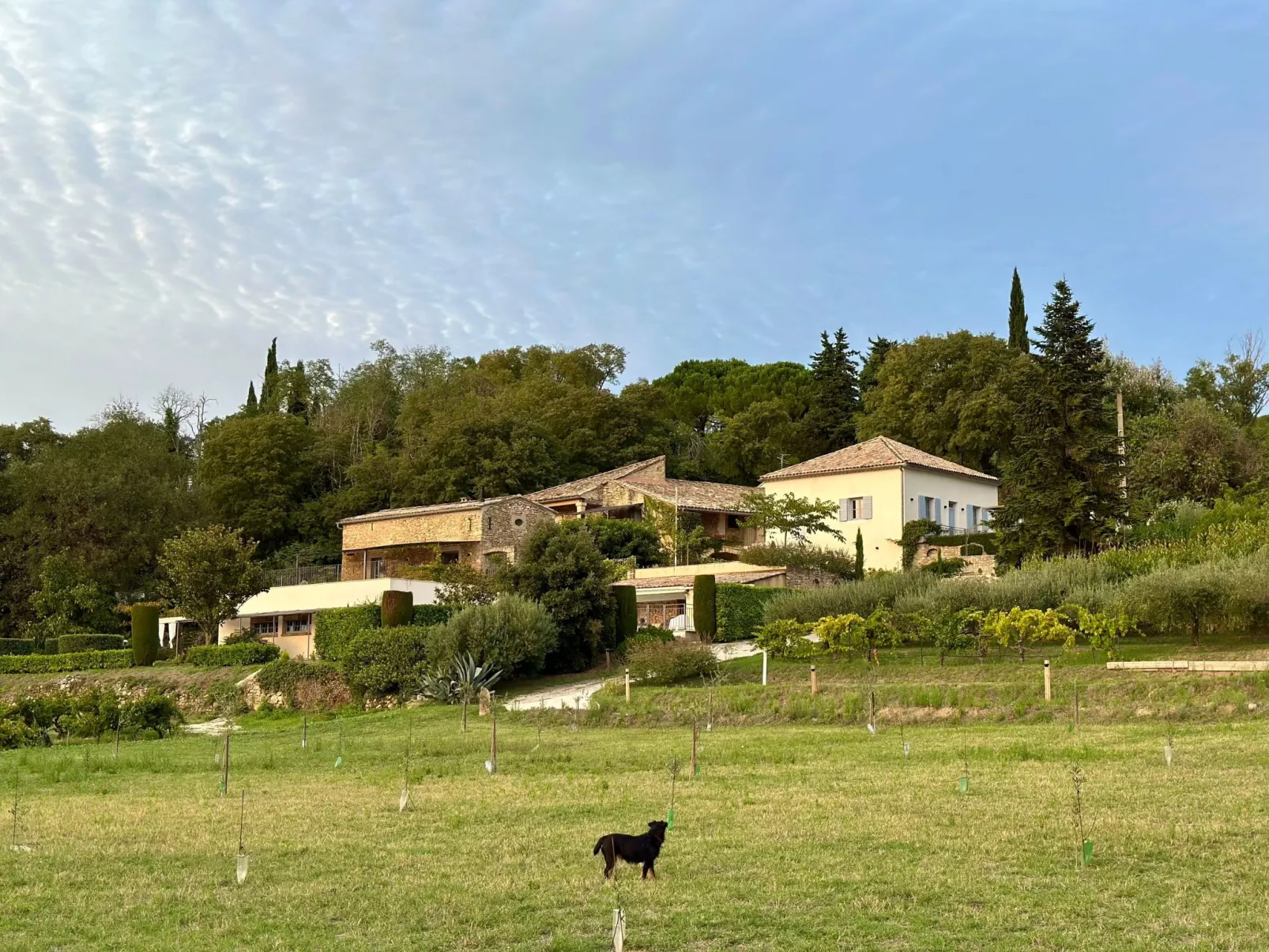 Maison Carrée-Buiten