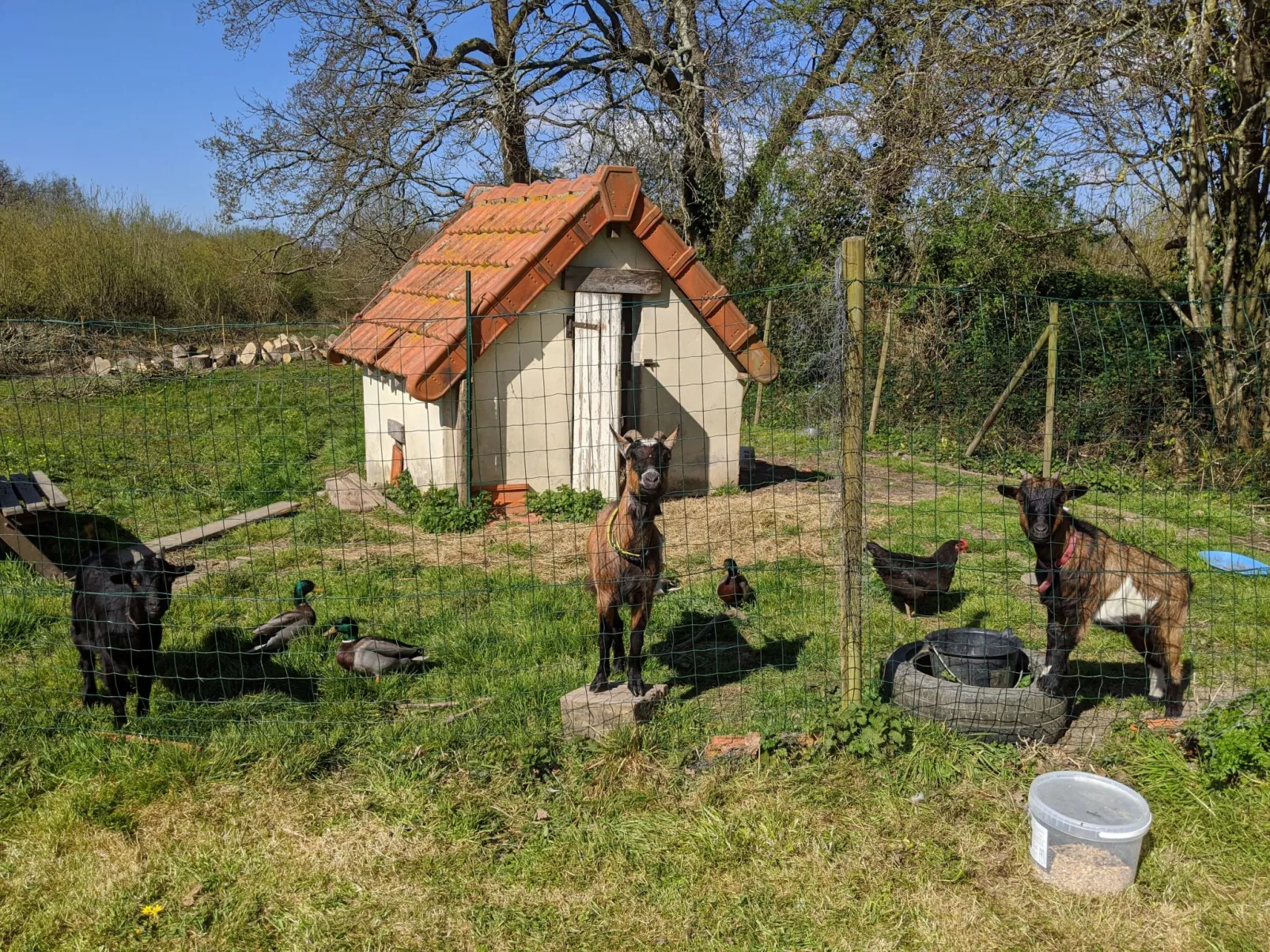 Landgut "La Vacherie" mit Terrasse-Buiten