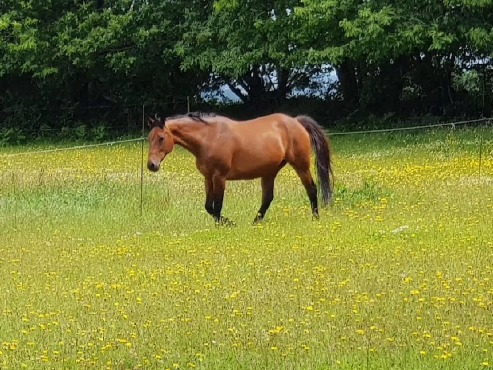 Die Domaine de Kerampape-Buiten