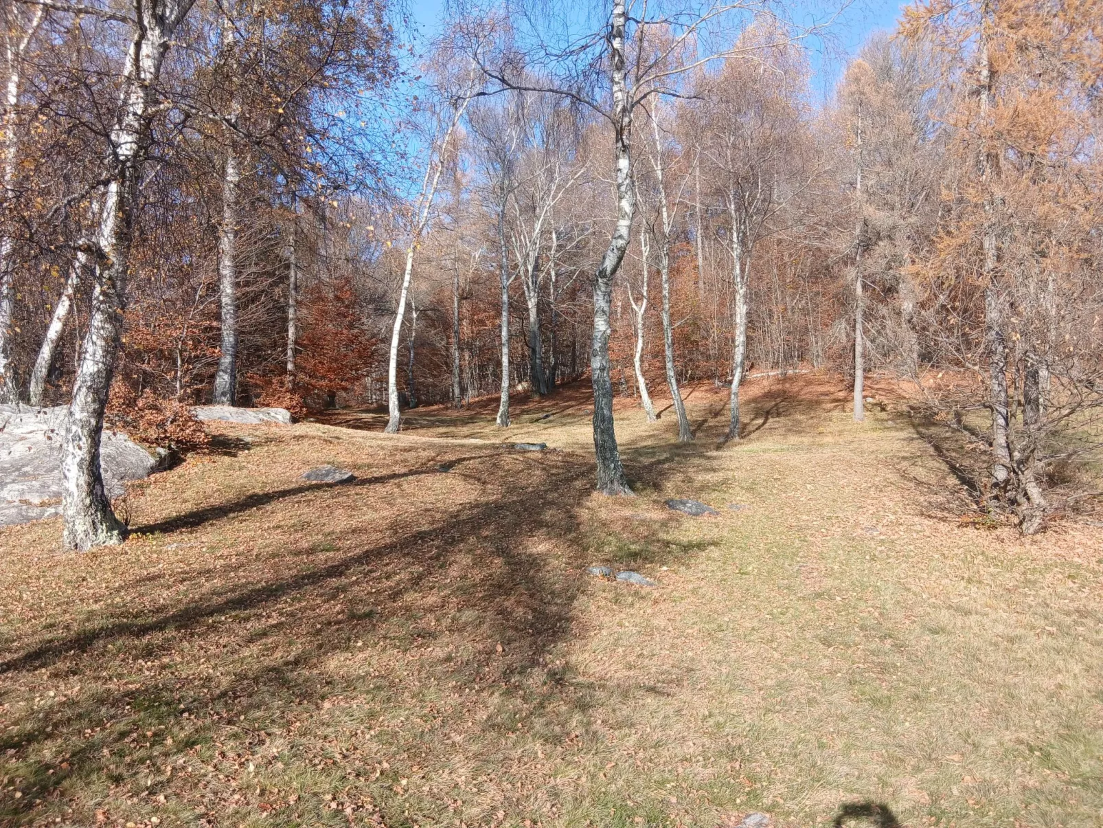 Monti di Motti Ferienhaus inmitten der Natur-Buiten
