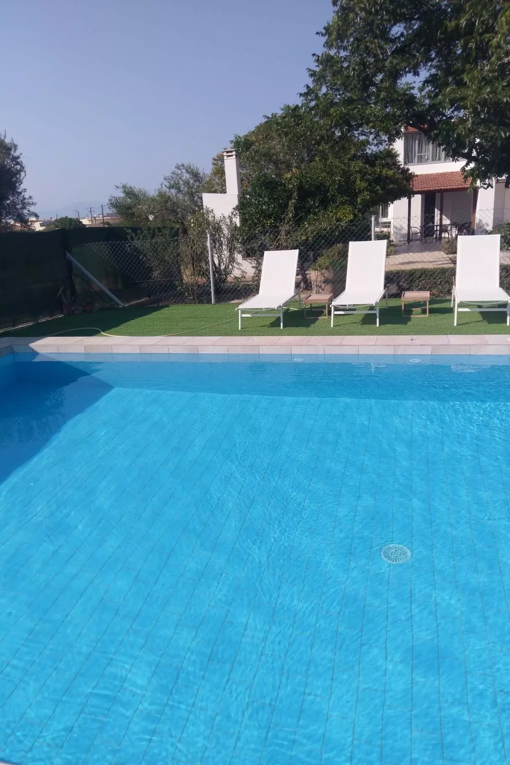 Neben Orangenbaum-Obstgarten-Buiten