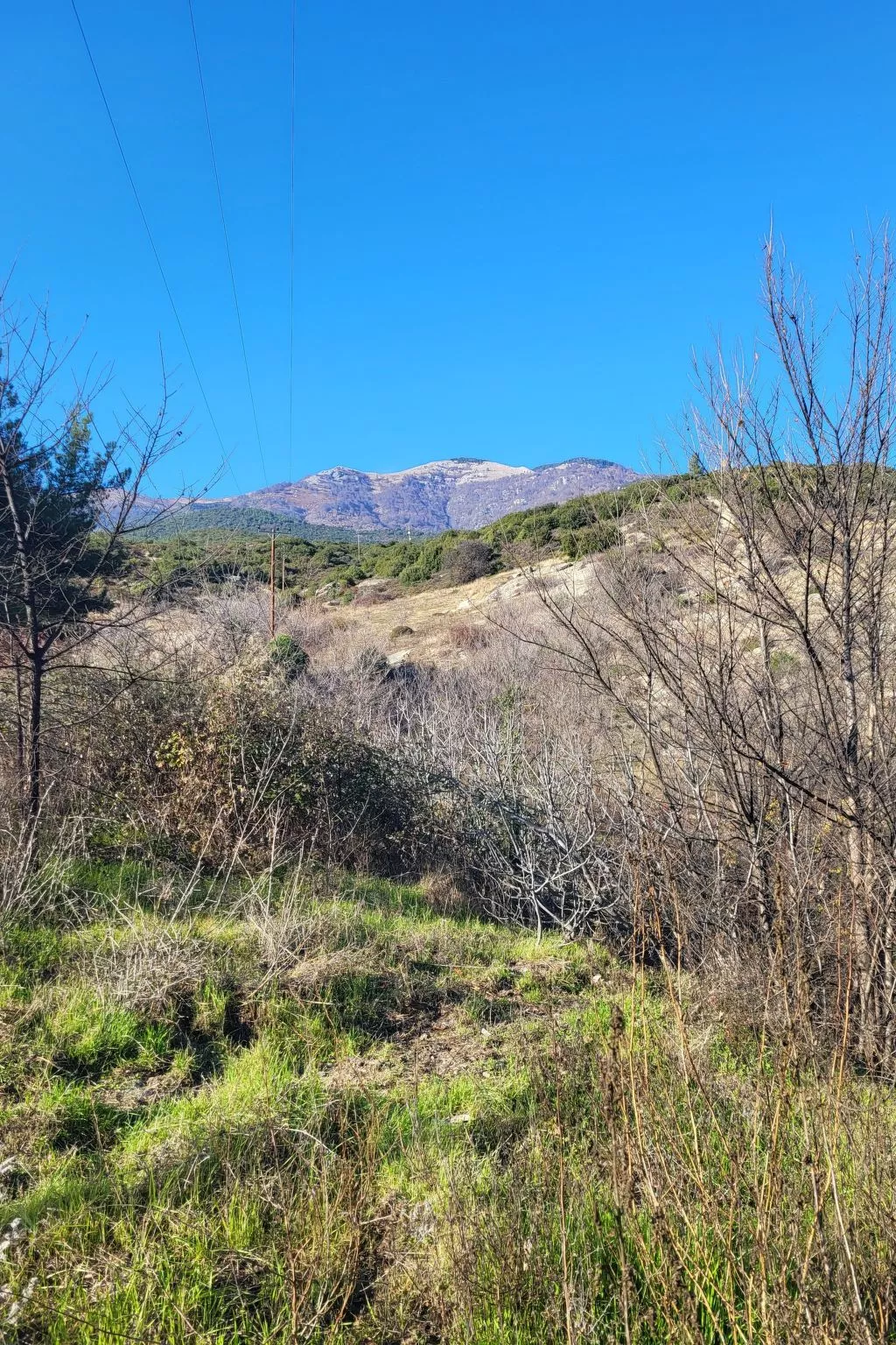 Villa Domatia-Buiten