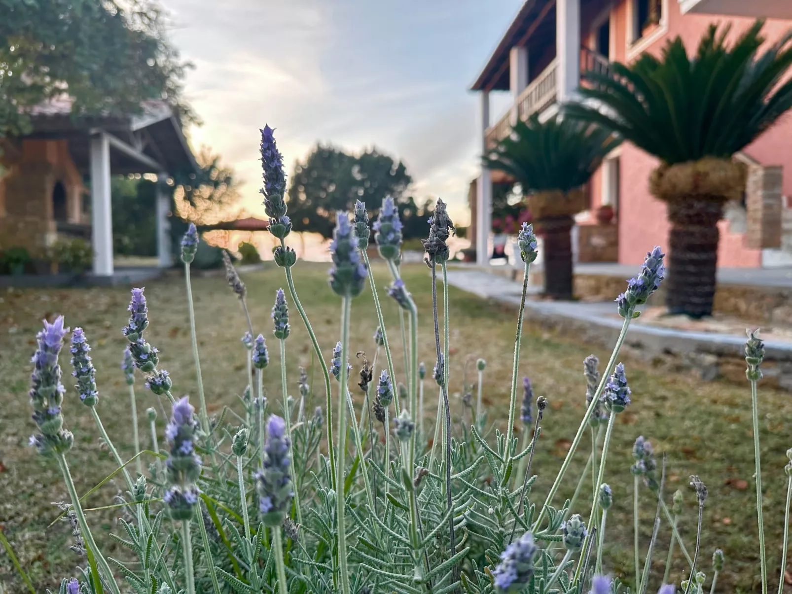 Familienrückzug mit Meerblick in den Genari Apartments-Image-tags.info