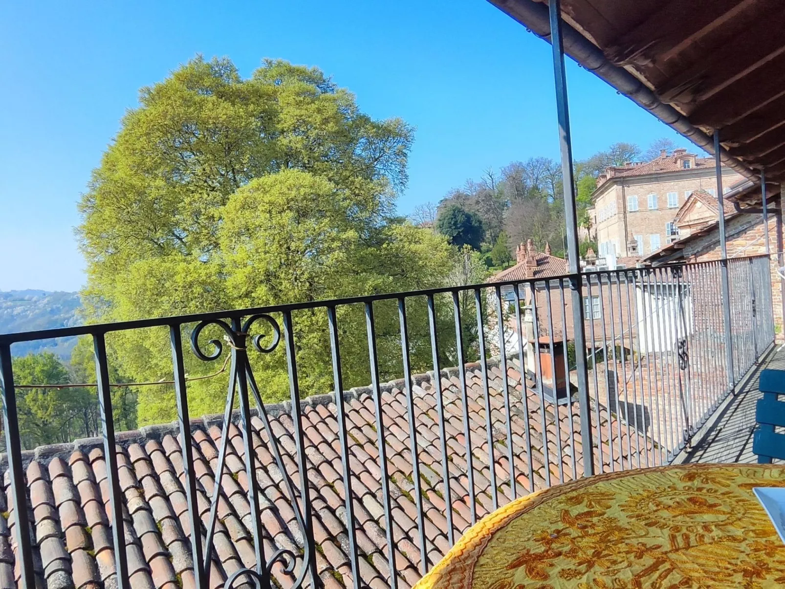 Vergissmeinnicht-Buiten