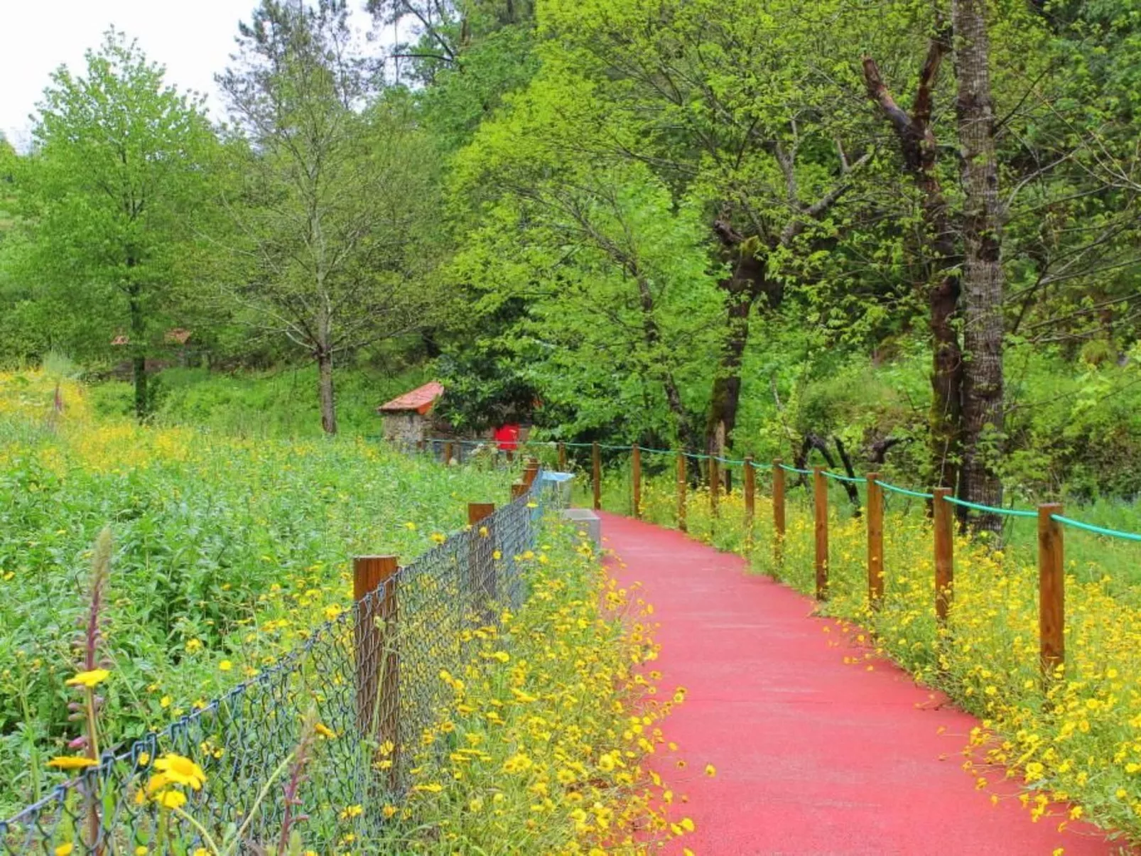 Ländliche Finca "Casa da Rocha"-Image-tags.info