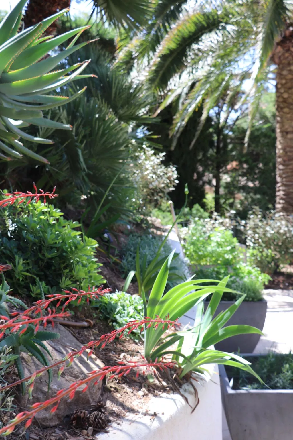 "Mesomax" mit Meerblick-Buiten